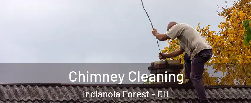 Chimney Cleaning Indianola Forest - OH