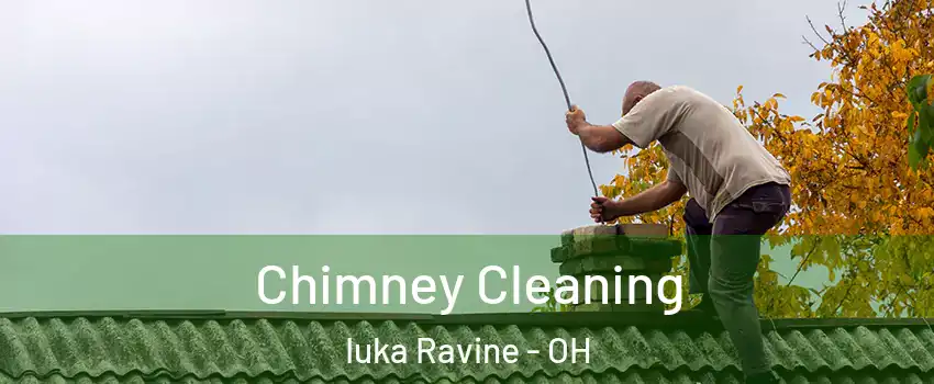 Chimney Cleaning Iuka Ravine - OH
