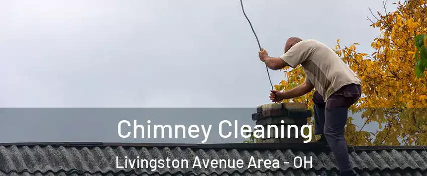 Chimney Cleaning Livingston Avenue Area - OH