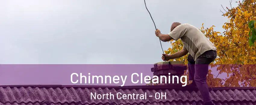 Chimney Cleaning North Central - OH