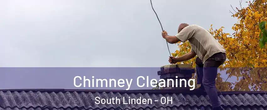 Chimney Cleaning South Linden - OH