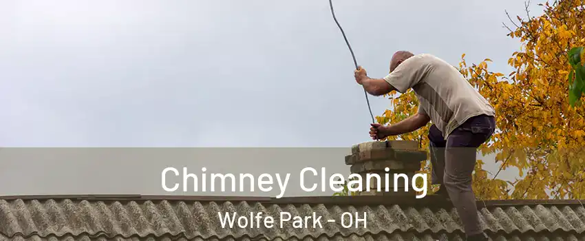 Chimney Cleaning Wolfe Park - OH
