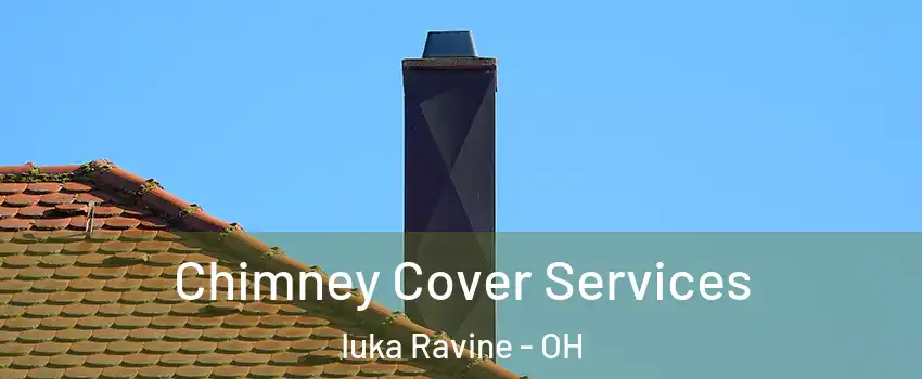 Chimney Cover Services Iuka Ravine - OH