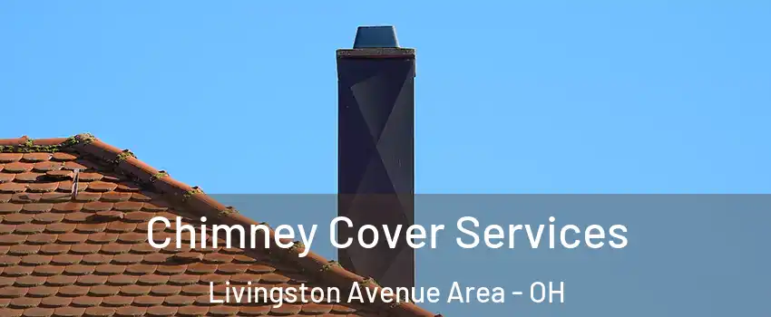 Chimney Cover Services Livingston Avenue Area - OH