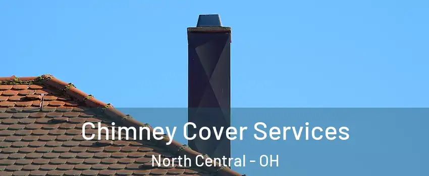 Chimney Cover Services North Central - OH