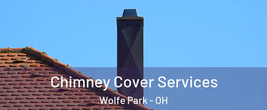 Chimney Cover Services Wolfe Park - OH