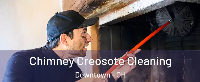 Chimney Creosote Cleaning Downtown - OH
