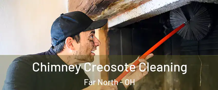 Chimney Creosote Cleaning Far North - OH