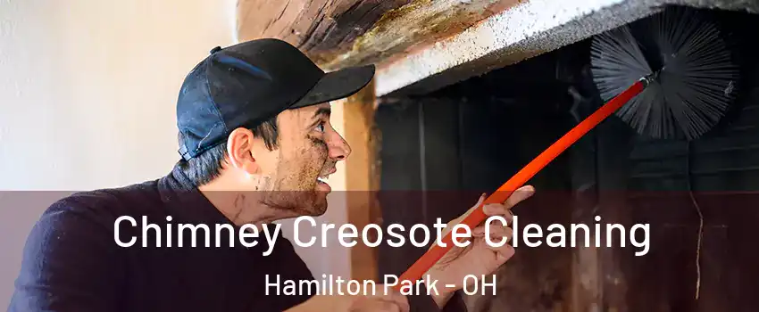 Chimney Creosote Cleaning Hamilton Park - OH