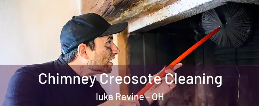 Chimney Creosote Cleaning Iuka Ravine - OH
