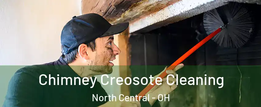 Chimney Creosote Cleaning North Central - OH