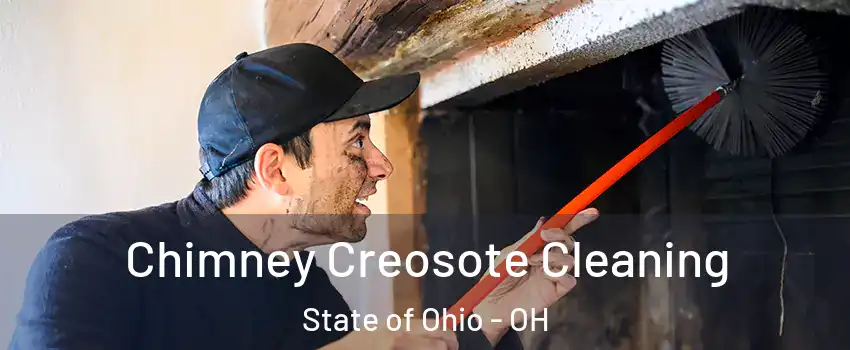 Chimney Creosote Cleaning State of Ohio - OH