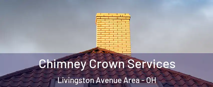Chimney Crown Services Livingston Avenue Area - OH
