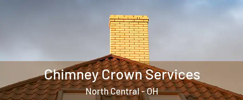 Chimney Crown Services North Central - OH