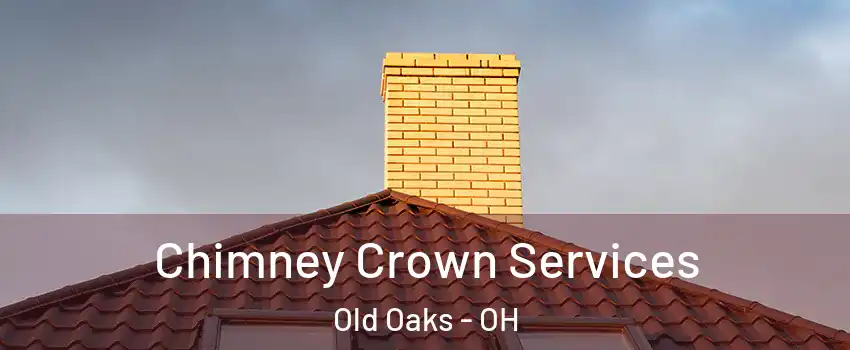 Chimney Crown Services Old Oaks - OH