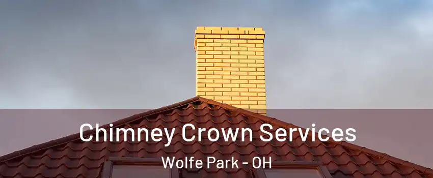 Chimney Crown Services Wolfe Park - OH