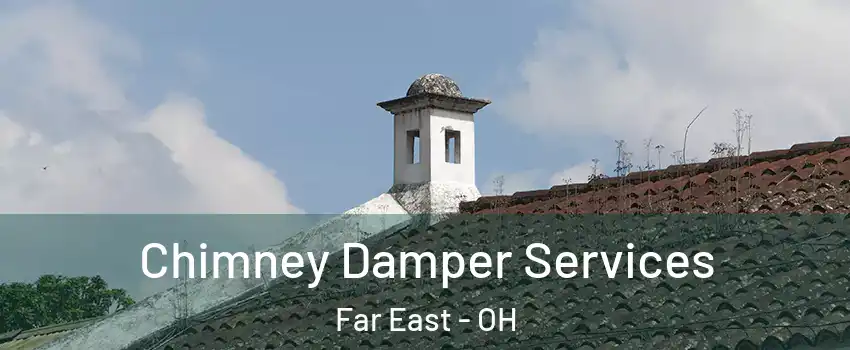 Chimney Damper Services Far East - OH