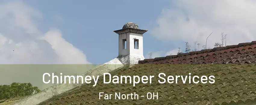 Chimney Damper Services Far North - OH
