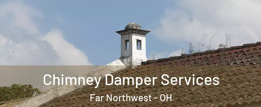 Chimney Damper Services Far Northwest - OH