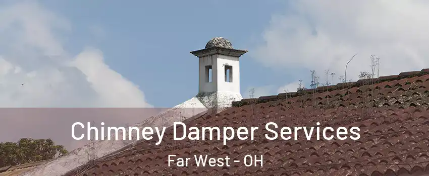 Chimney Damper Services Far West - OH