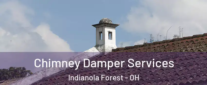 Chimney Damper Services Indianola Forest - OH