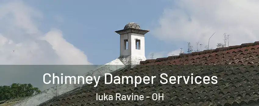 Chimney Damper Services Iuka Ravine - OH