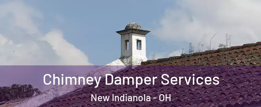Chimney Damper Services New Indianola - OH