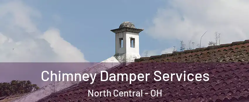 Chimney Damper Services North Central - OH