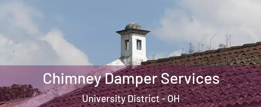 Chimney Damper Services University District - OH