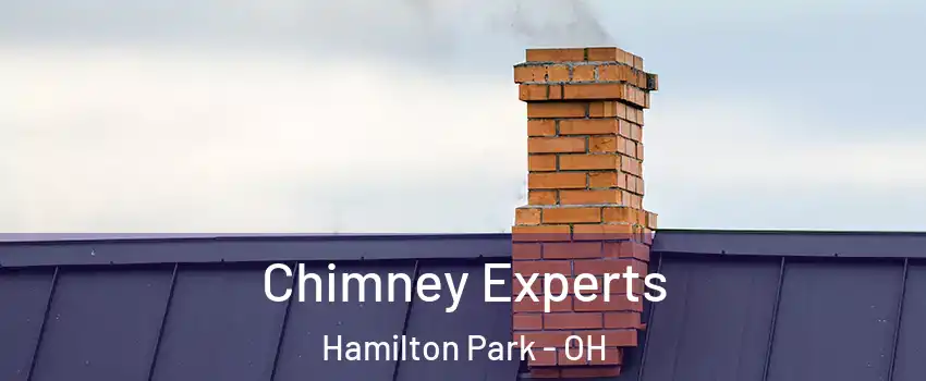 Chimney Experts Hamilton Park - OH