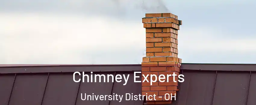 Chimney Experts University District - OH