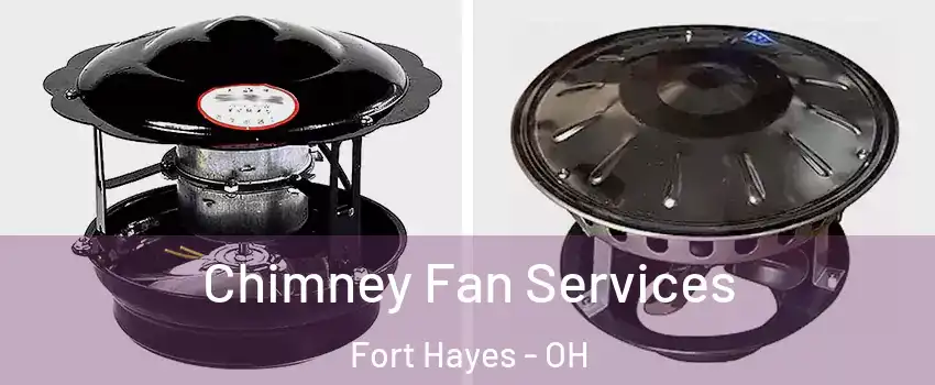 Chimney Fan Services Fort Hayes - OH