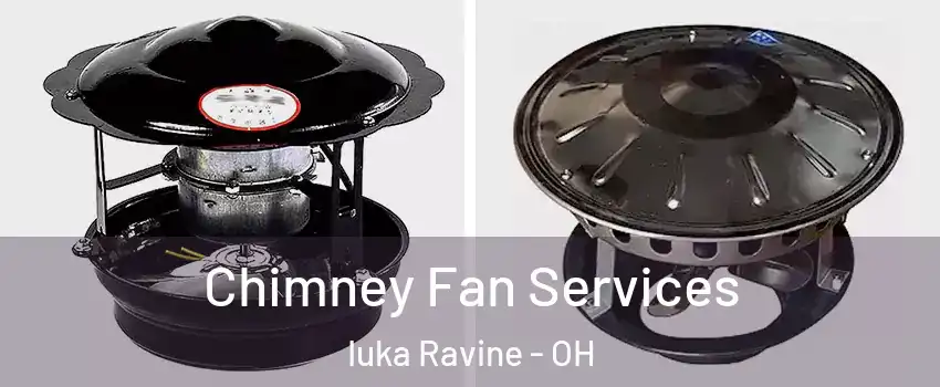 Chimney Fan Services Iuka Ravine - OH