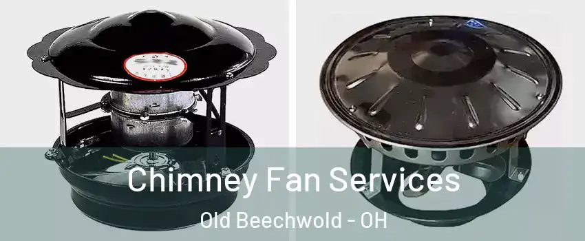 Chimney Fan Services Old Beechwold - OH