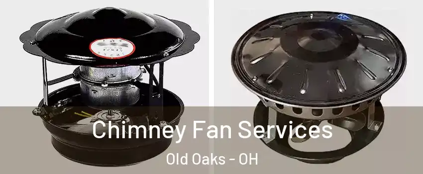 Chimney Fan Services Old Oaks - OH
