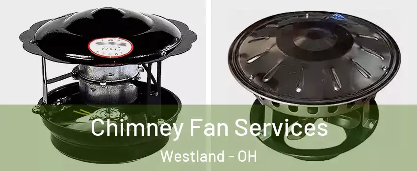 Chimney Fan Services Westland - OH