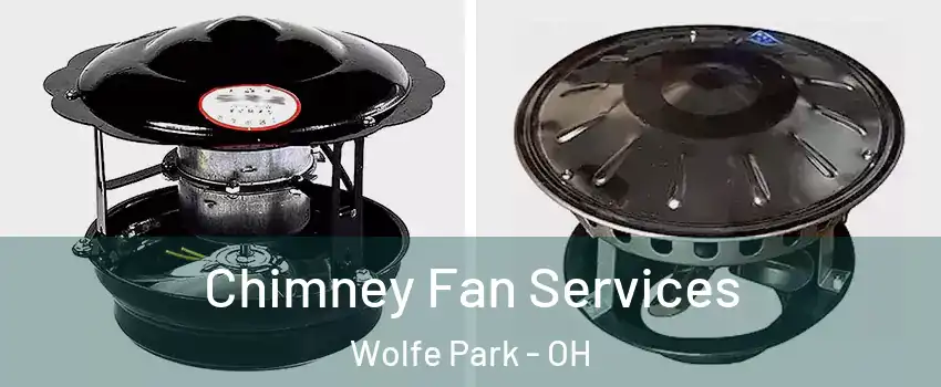 Chimney Fan Services Wolfe Park - OH