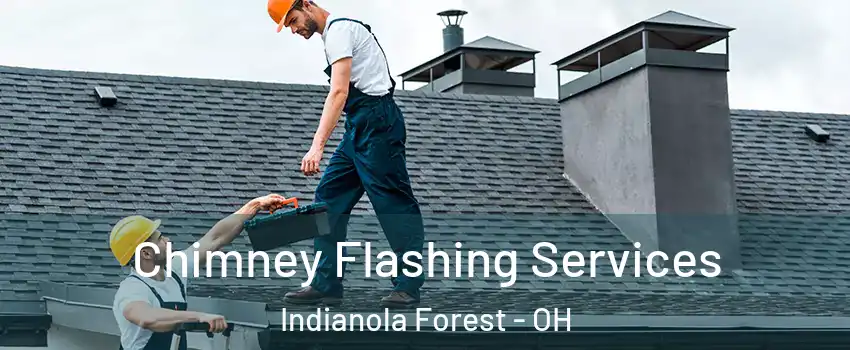 Chimney Flashing Services Indianola Forest - OH