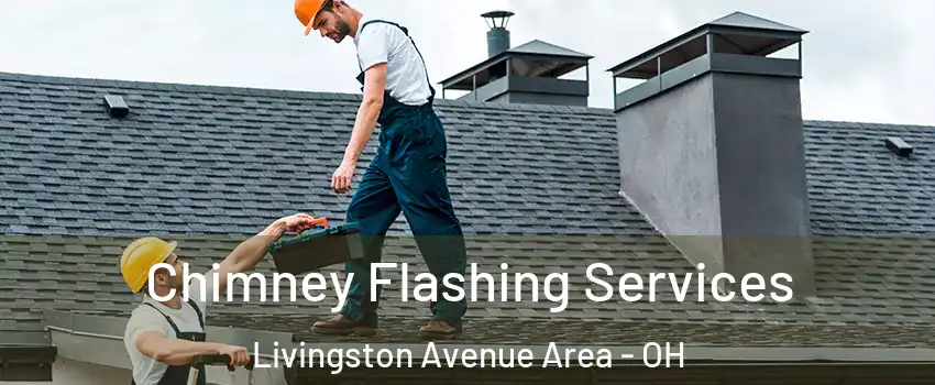 Chimney Flashing Services Livingston Avenue Area - OH