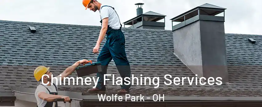 Chimney Flashing Services Wolfe Park - OH