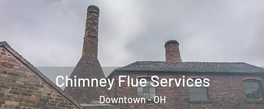 Chimney Flue Services Downtown - OH