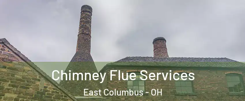 Chimney Flue Services East Columbus - OH