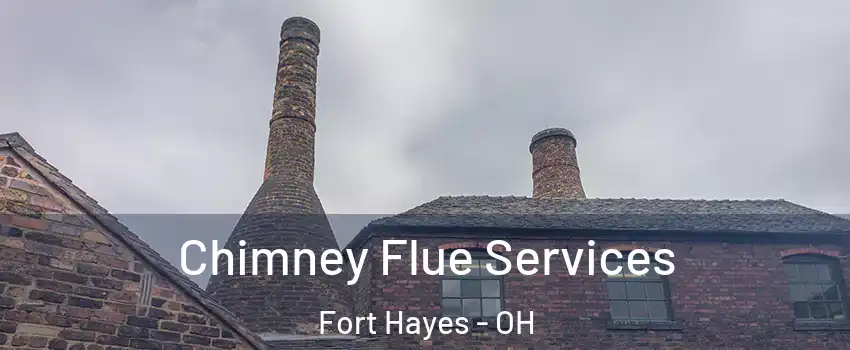 Chimney Flue Services Fort Hayes - OH