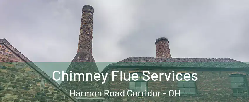 Chimney Flue Services Harmon Road Corridor - OH