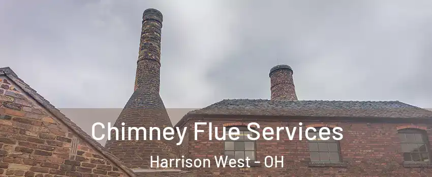 Chimney Flue Services Harrison West - OH