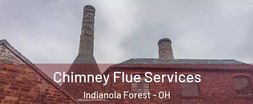 Chimney Flue Services Indianola Forest - OH