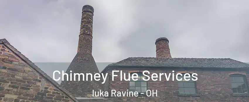 Chimney Flue Services Iuka Ravine - OH
