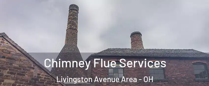 Chimney Flue Services Livingston Avenue Area - OH