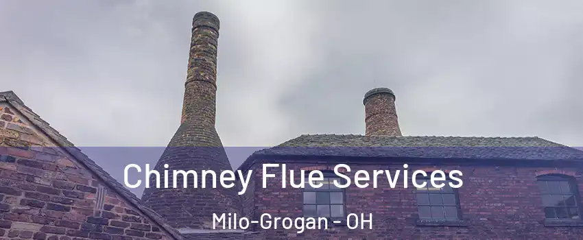 Chimney Flue Services Milo-Grogan - OH
