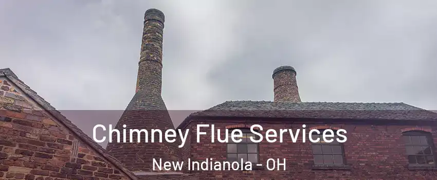 Chimney Flue Services New Indianola - OH